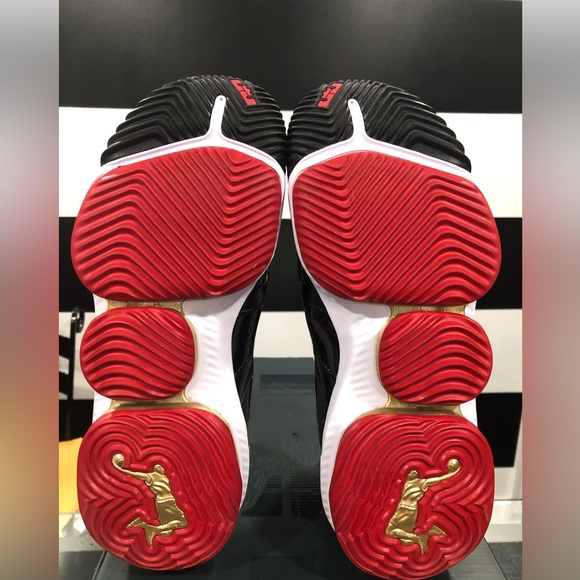 RARE NWT Nike Lebron XBI SB Shoes - Picture 2 of 8